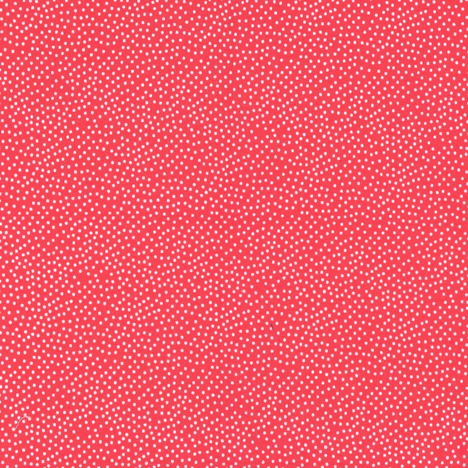 GARDEN PINDOT 100% Cotton - Michael Miller Fabrics - 10 Yard Bolts