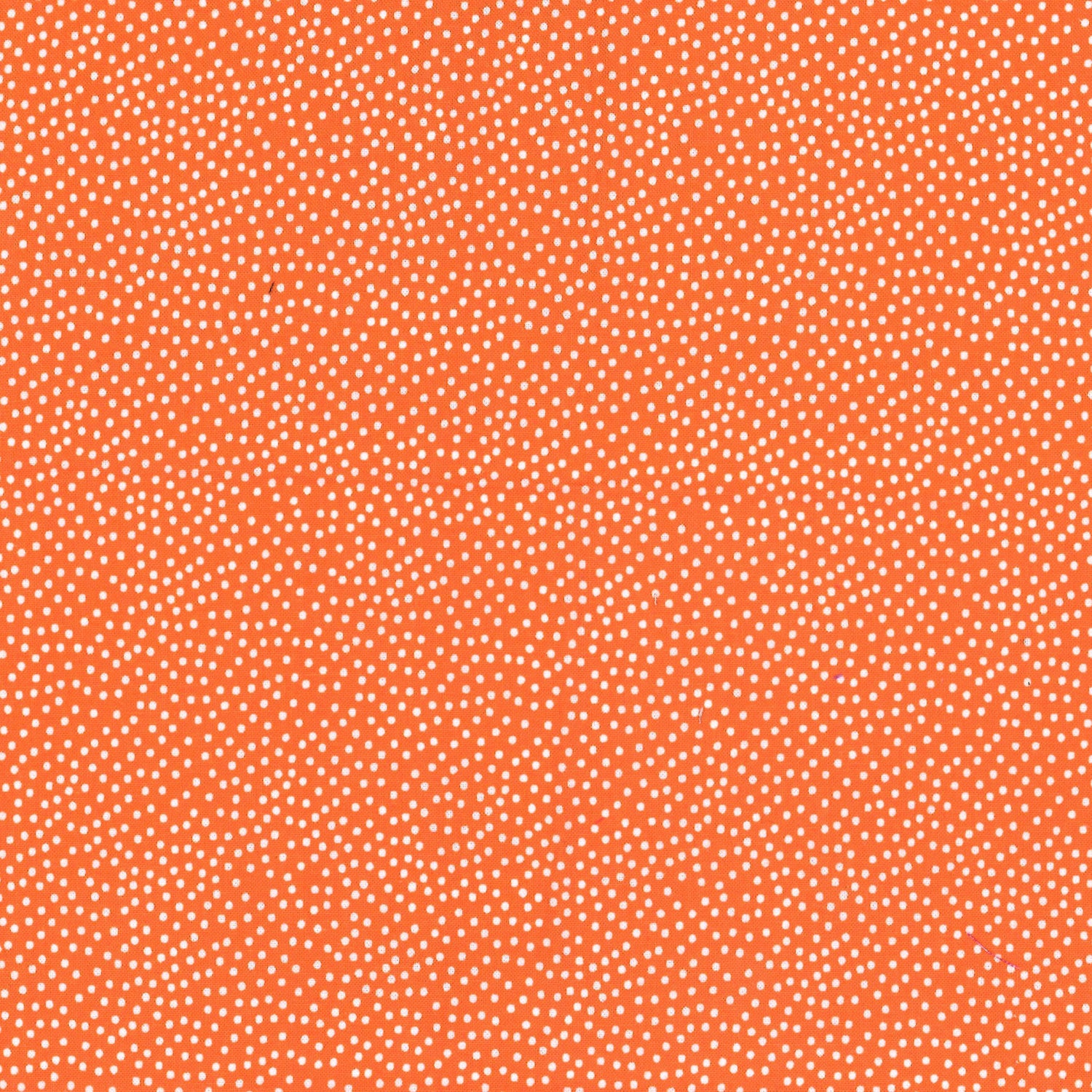 GARDEN PINDOT 100% Cotton - Michael Miller Fabrics - 10 Yard Bolts