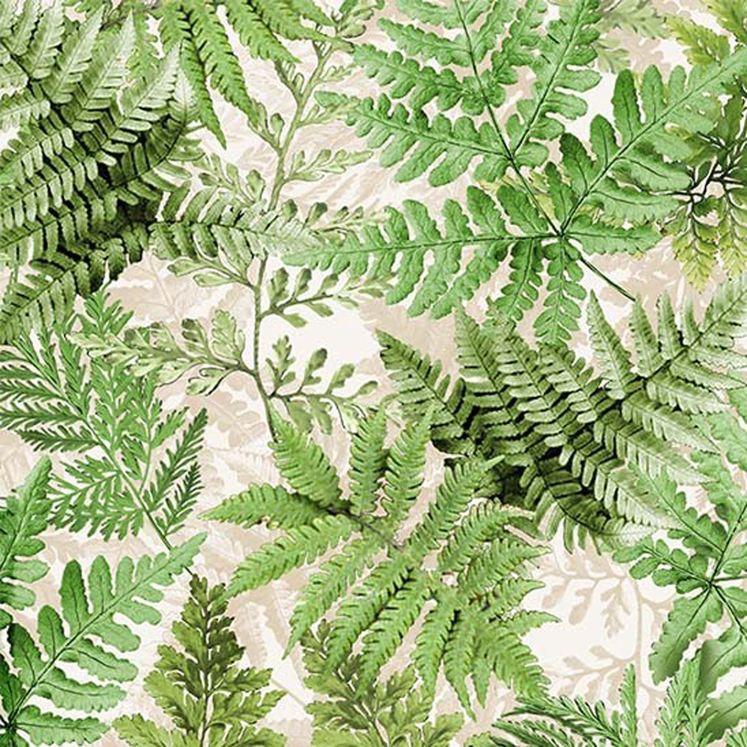 100% Cotton Prints - Michael Miller Fabrics