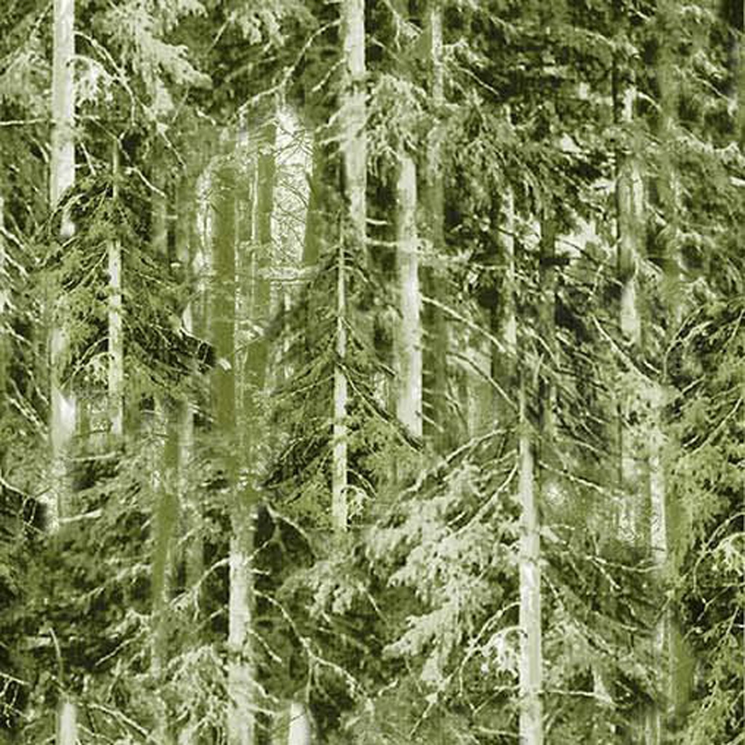 100% Cotton Prints - Girls Gone Camping Collection 15 Yard Bolt - Michael Miller Fabrics