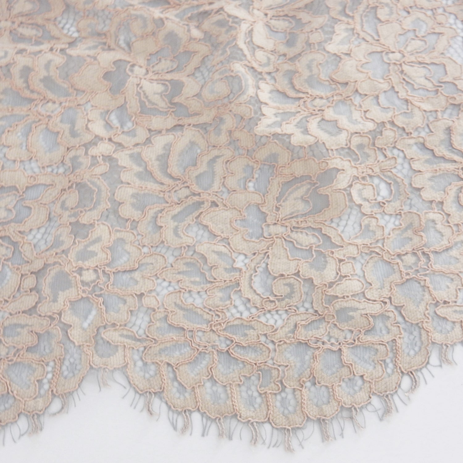 Double Scalloped Eyelash Border Klauber Lace Fabric 3543 Dusty Blue/Seashell