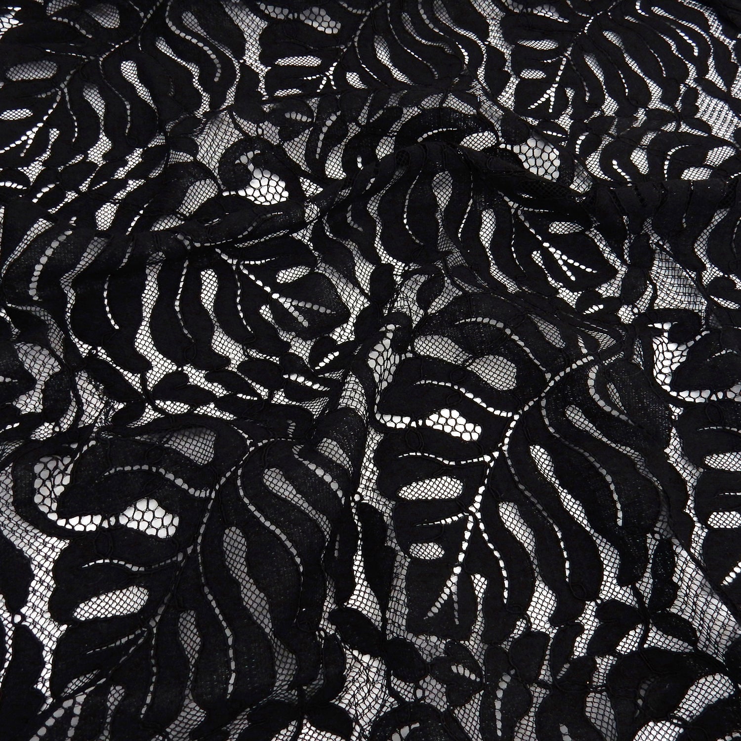 Double Scalloped Eyelash Border Klauber Lace Fabric 4080 Black