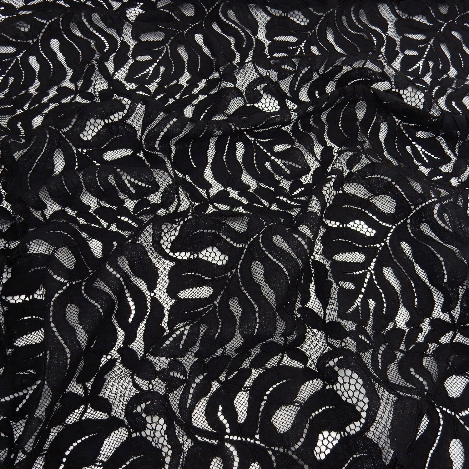 Double Scalloped Eyelash Border Klauber Lace Fabric 4080 Black