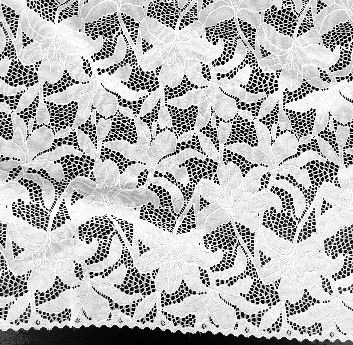 Embroidered Double Sided Border Stretch Klauber Lace Fabric 9807 P.F.D.