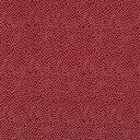 GARDEN PINDOT 100% Cotton - Michael Miller Fabrics - 10 Yard Bolts