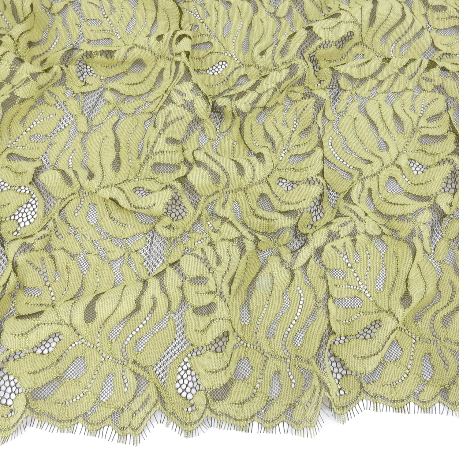 Double Sided Eyelash Scalloped Border Lace Fabric 4080 Dark Olive/Lemon Zest