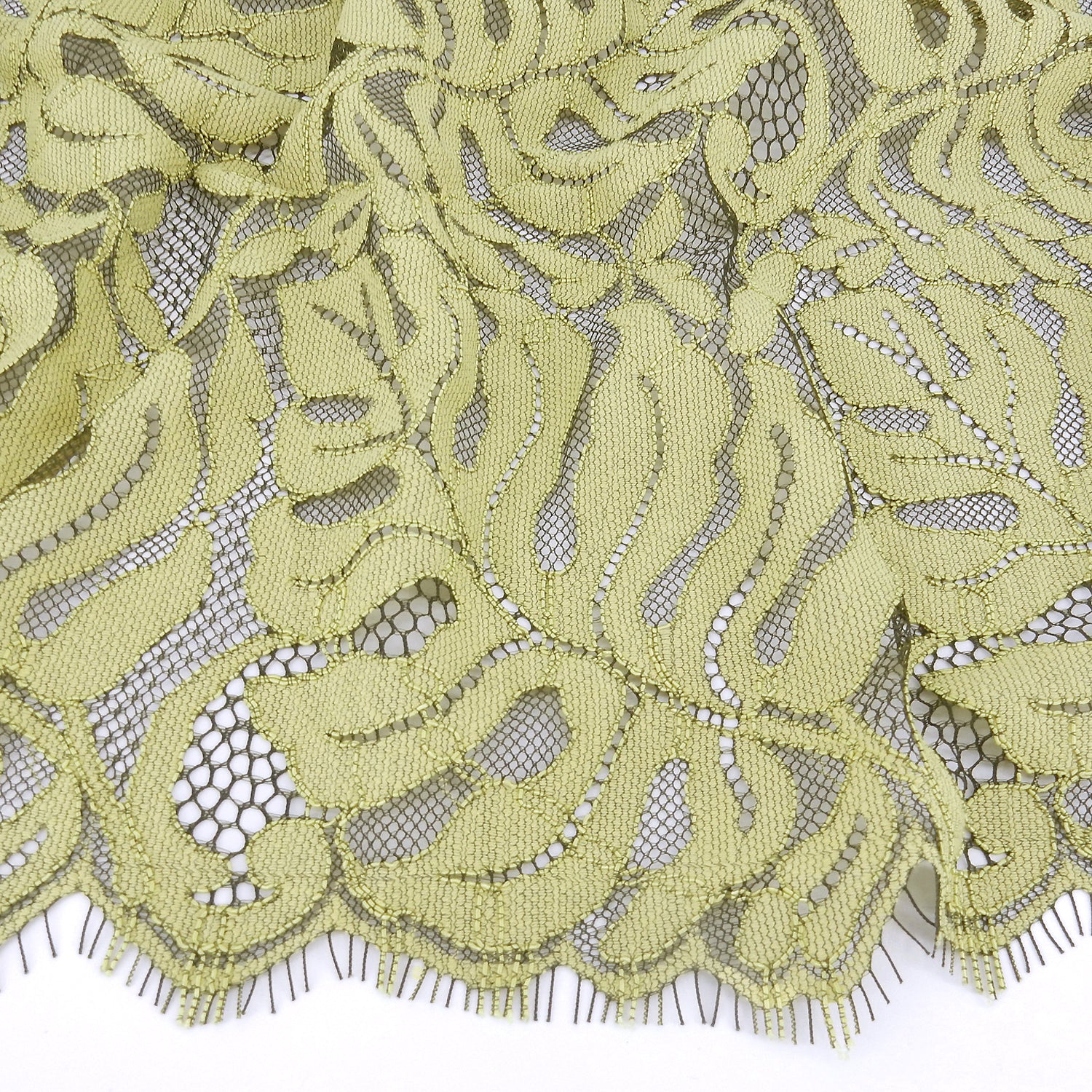 Double Sided Eyelash Scalloped Border Lace Fabric 4080 Dark Olive/Lemon Zest