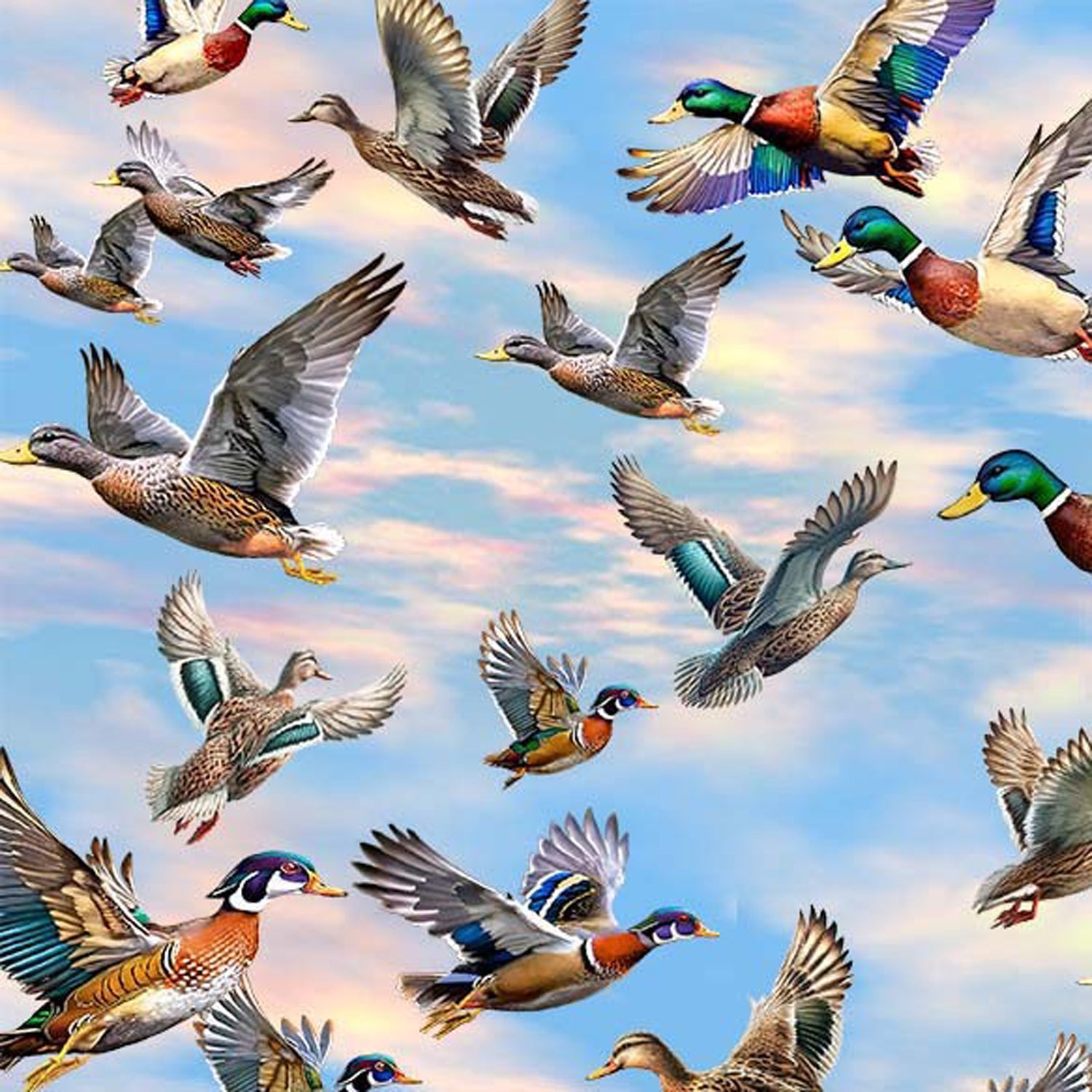 100% Cotton Prints - Michael Miller Fabrics