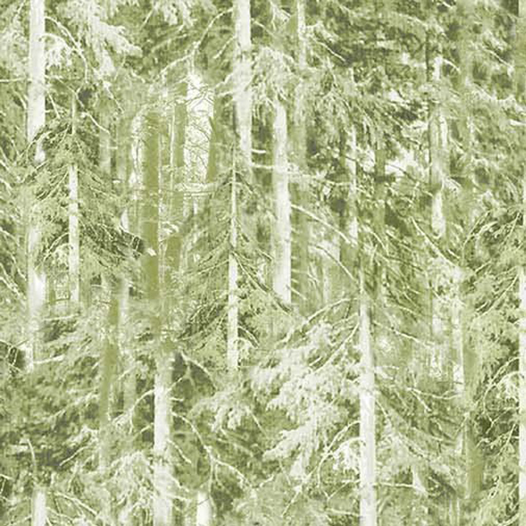 100% Cotton Prints - Girls Gone Camping Collection 15 Yard Bolt - Michael Miller Fabrics