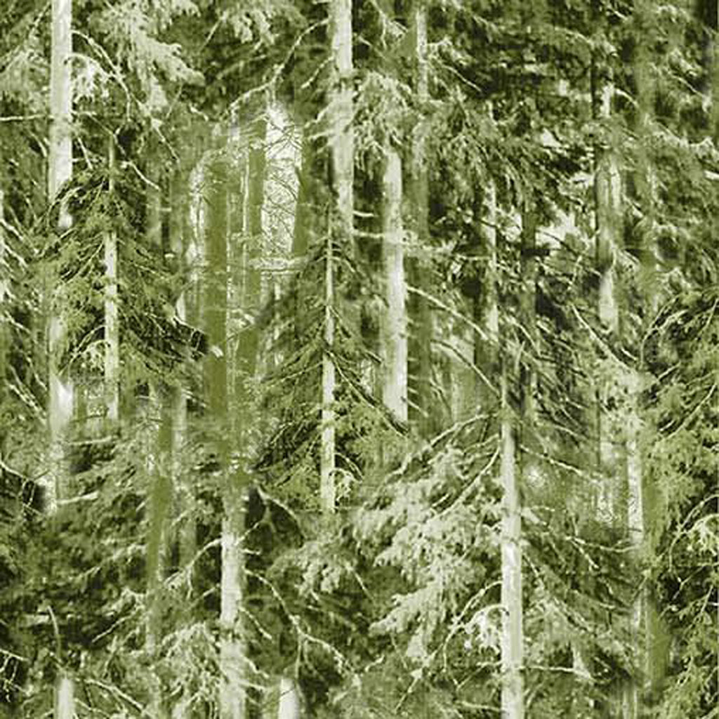 100% Cotton Prints - Girls Gone Camping Collection 15 Yard Bolt - Michael Miller Fabrics