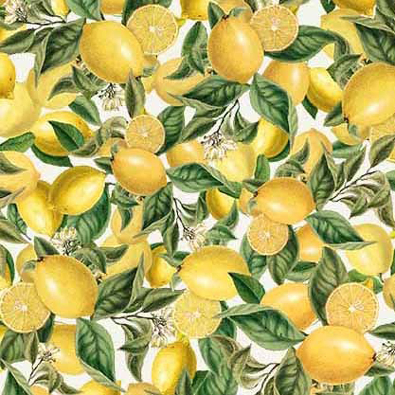 100% Cotton Prints - Michael Miller Fabrics