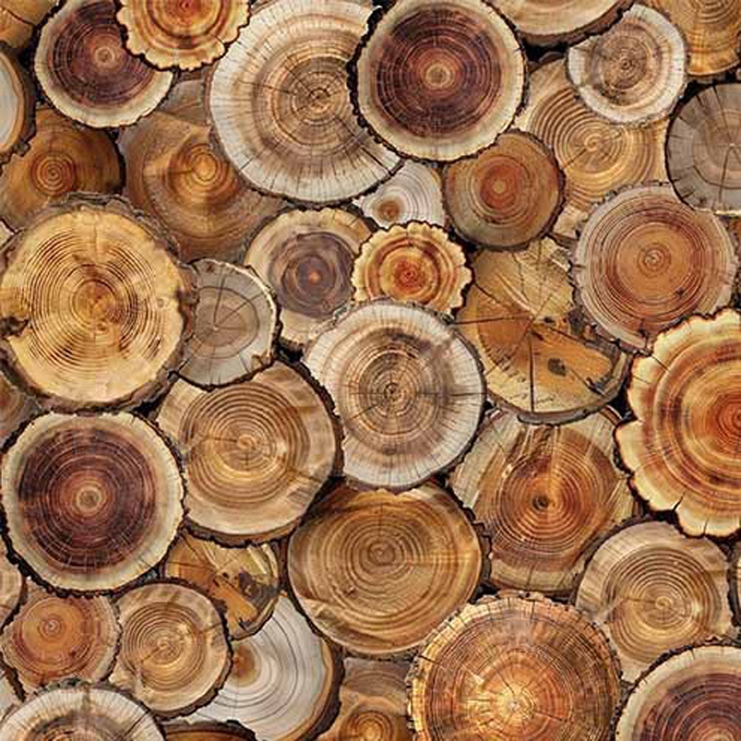 100% Cotton Prints - Great Outdoors Collection 15 Yard Bolt - Michael Miller Fabrics
