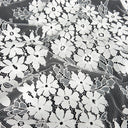 Double Sided Eyelash Scalloped Border Lace Fabric 4058 Ivory