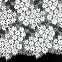 Double Sided Eyelash Scalloped Border Lace Fabric 4058 Ivory
