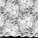 Embroidered Double Sided Border Stretch Lace Fabric 6014 Ivory
