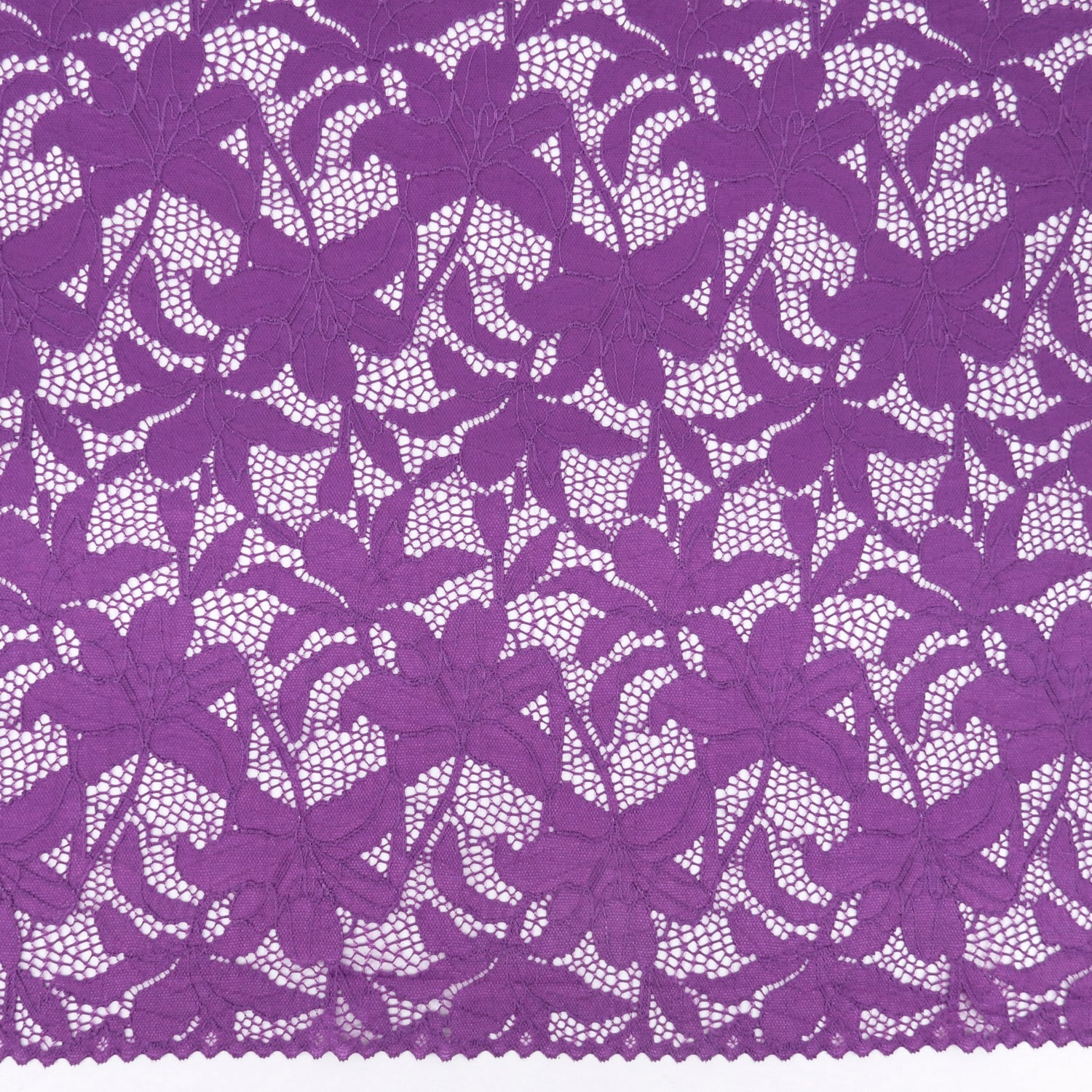 Embroidered Double Sided Border Stretch Klauber Lace Fabric 9807 Anemone