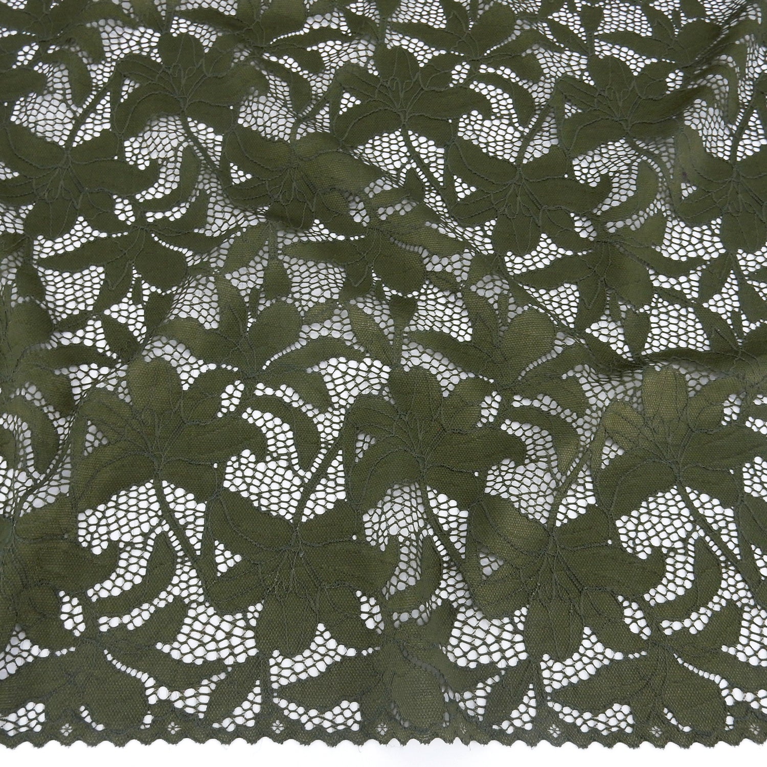 Embroidered Double Sided Border Stretch Klauber Lace Fabric 9807 Algue