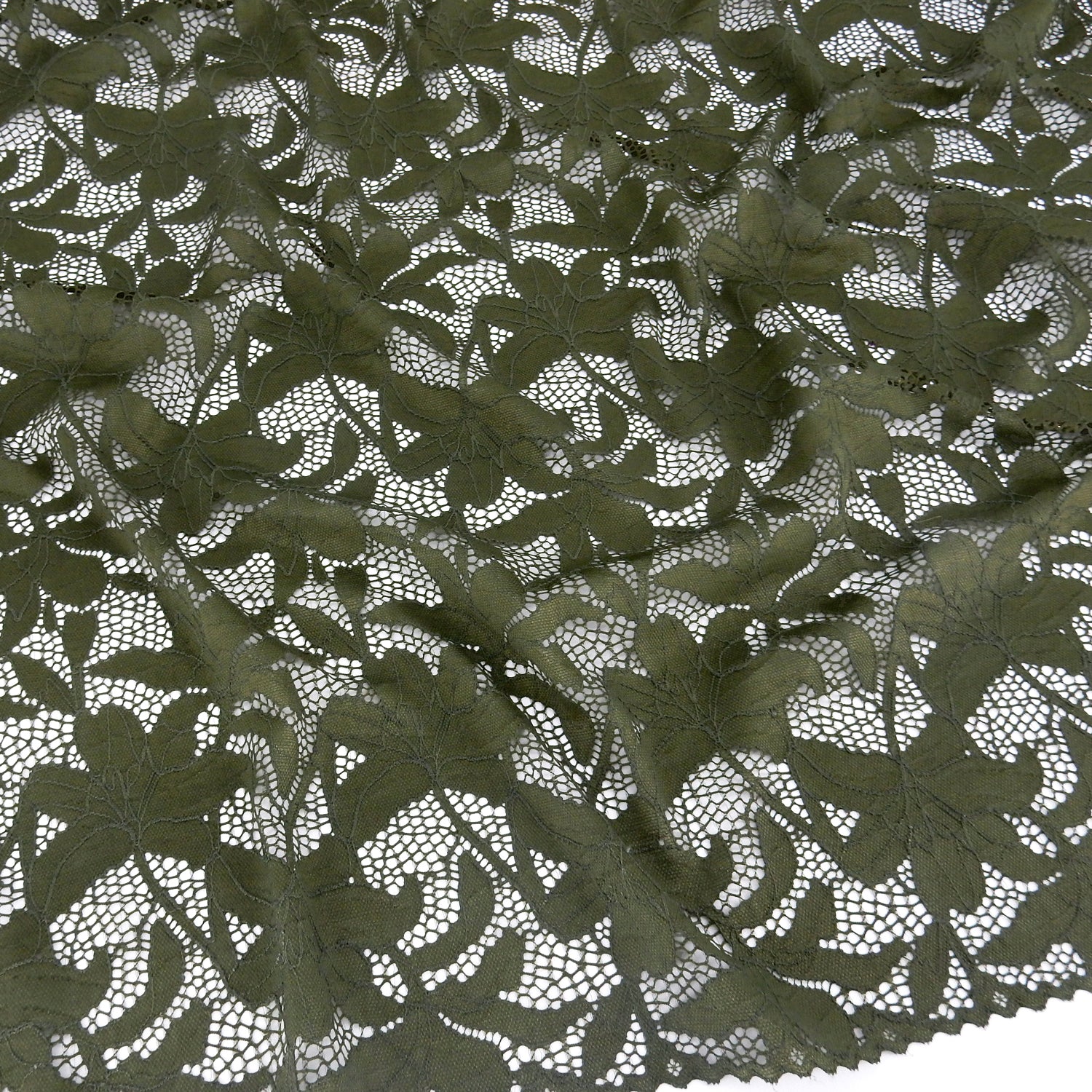 Embroidered Double Sided Border Stretch Klauber Lace Fabric 9807 Algue