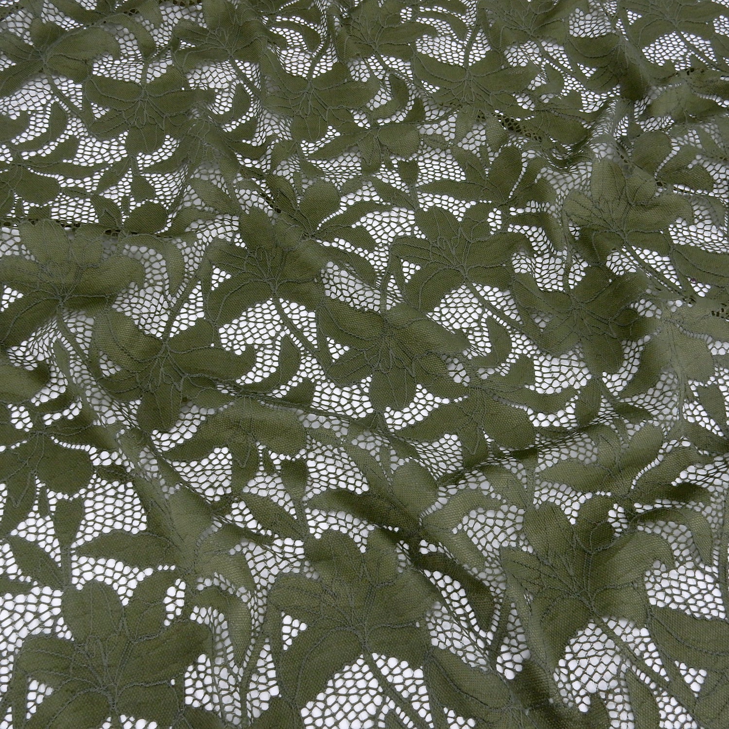 Embroidered Double Sided Border Stretch Klauber Lace Fabric 9807 Algue
