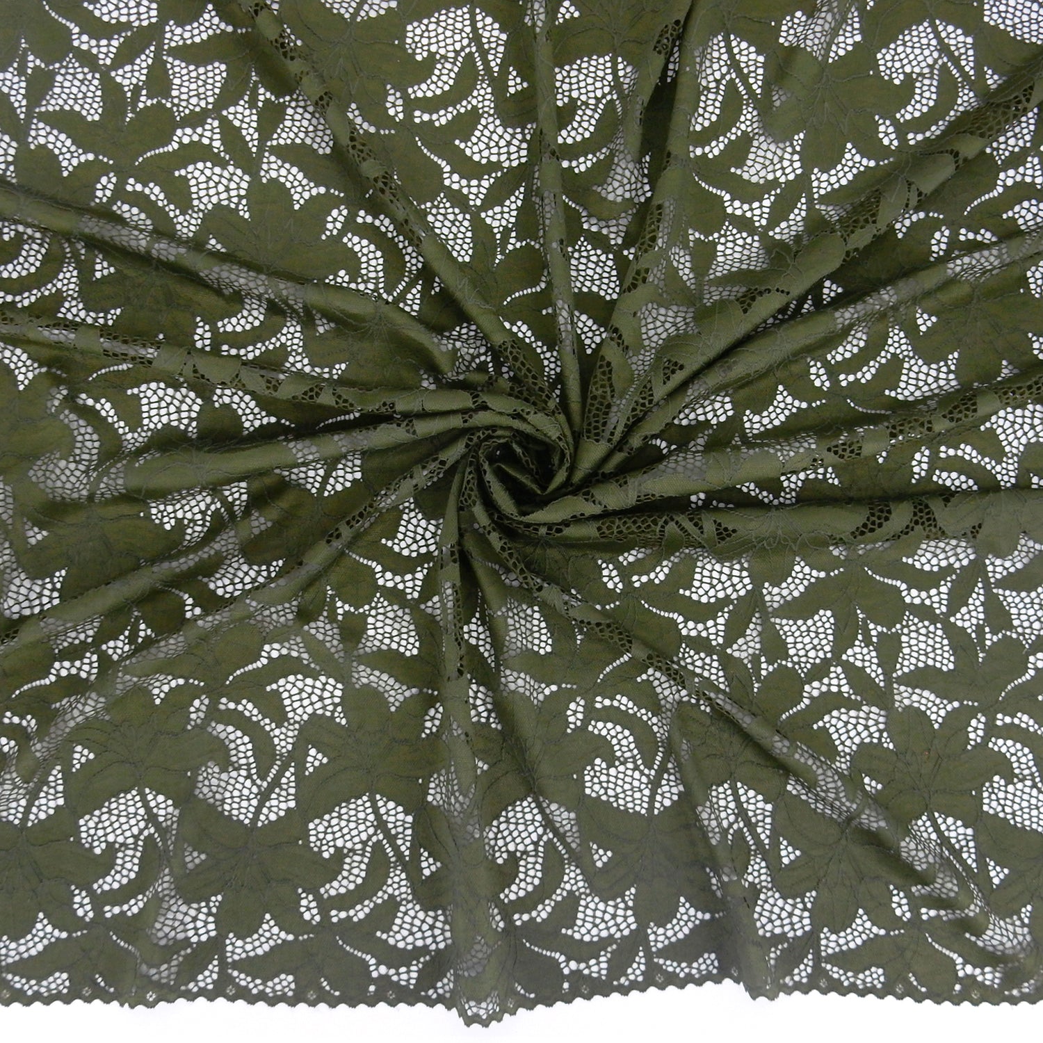 Embroidered Double Sided Border Stretch Klauber Lace Fabric 9807 Algue